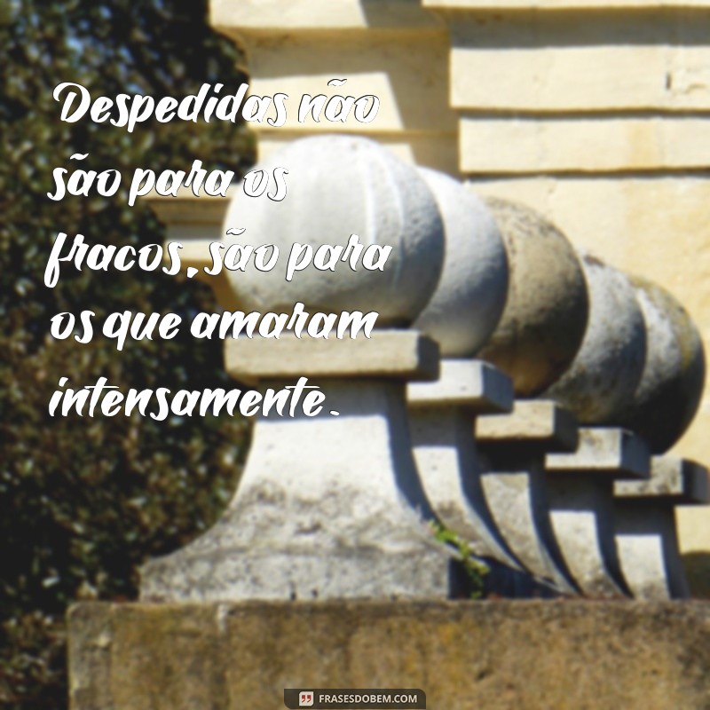 Frases Impactantes para Curar um Coração Partido: Inspire-se e Recomece 