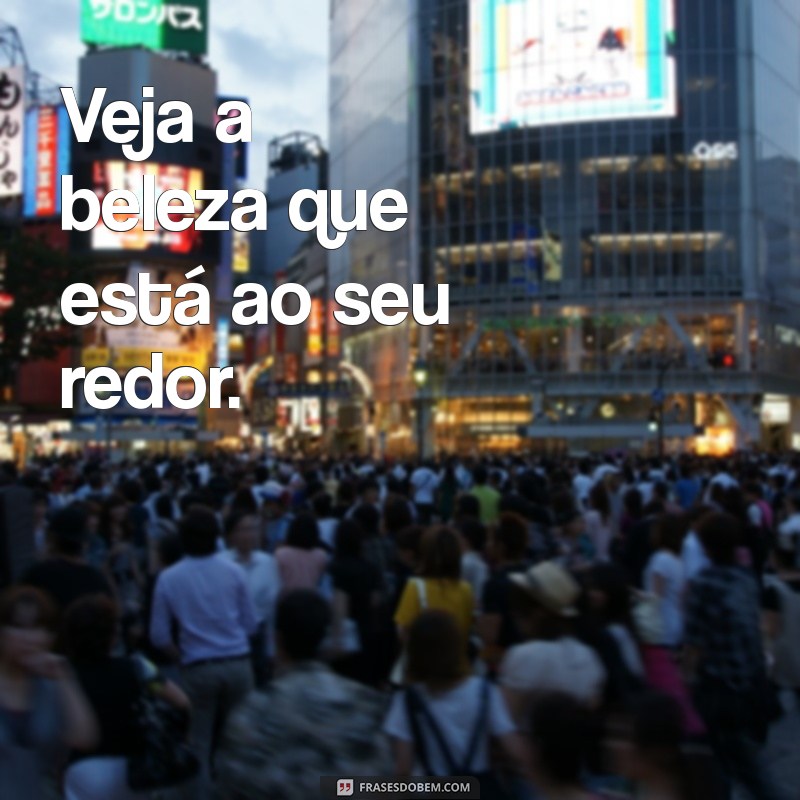 As Melhores Frases para Legendar Suas Fotos e Encantar nas Redes Sociais 