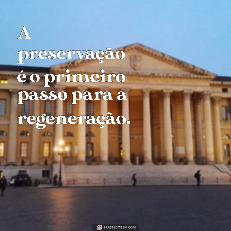 Frases de Impacto sobre o Meio Ambiente: Inspire-se e Faça a Diferença 