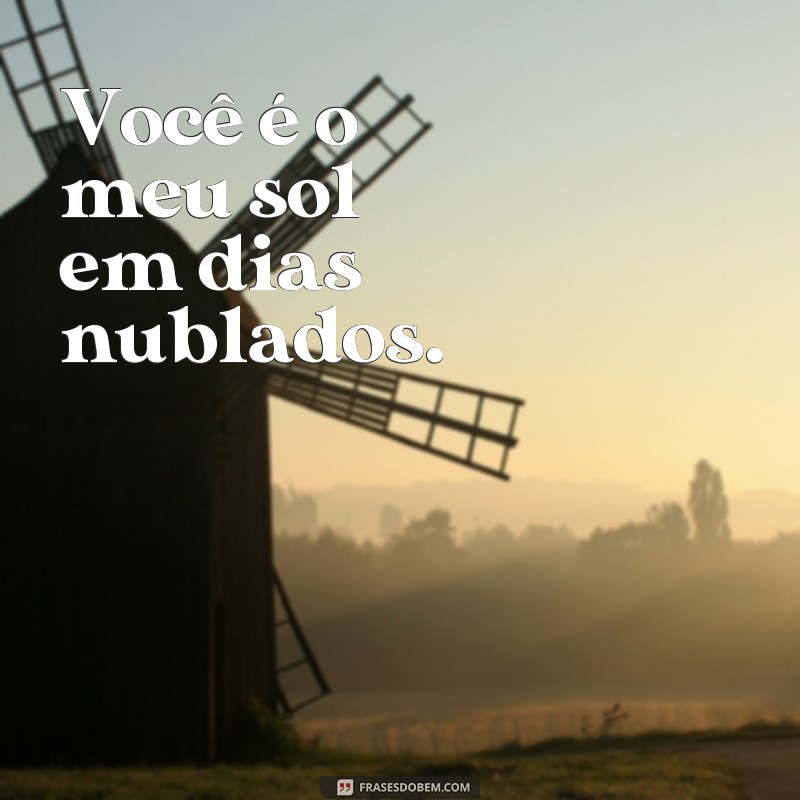 Descubra as mais belas frases de amor para expressar seus sentimentos 