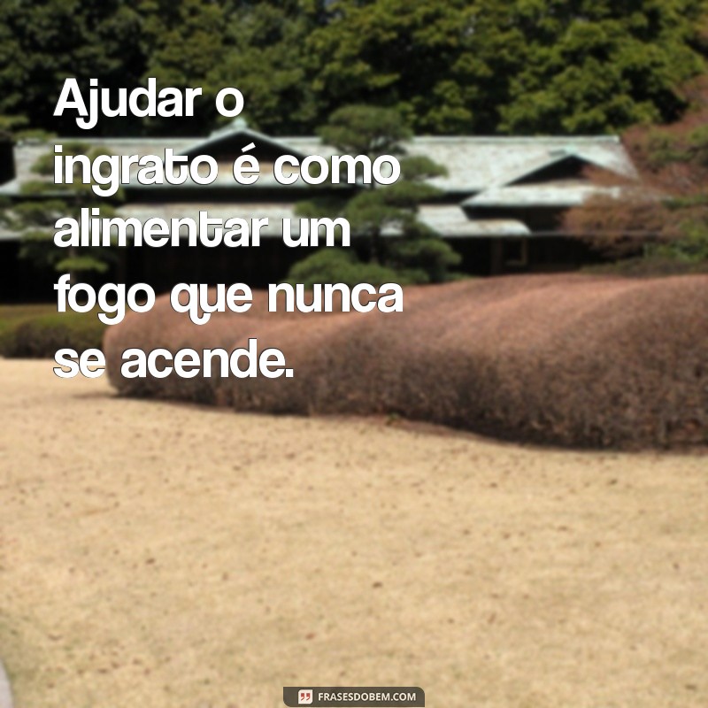 Como Lidar com Pessoas Ingratas: Dicas para Ajudar Sem se Decepcionar 