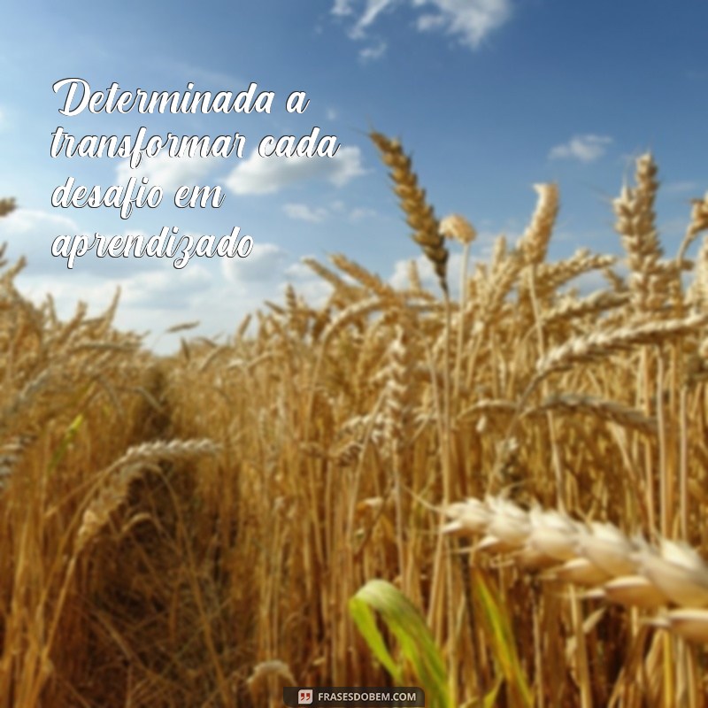 Frases Inspiradoras para Acompanhar Suas Fotos de Estudo 