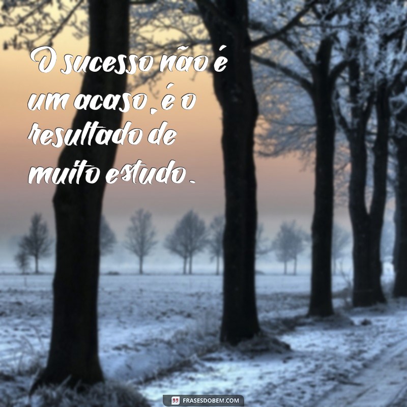 Frases Inspiradoras para Acompanhar Suas Fotos de Estudo 