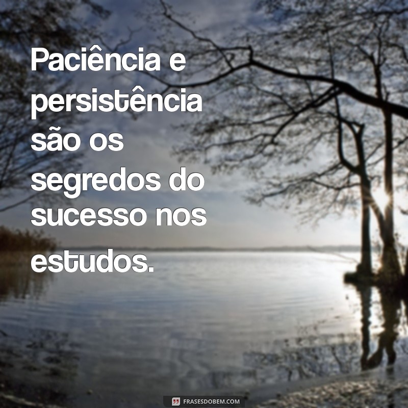 Frases Inspiradoras para Acompanhar Suas Fotos de Estudo 