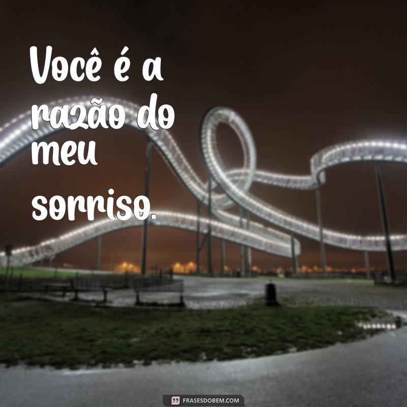 Frases Curtas de Amor: Inspirações para Declarar Seus Sentimentos 