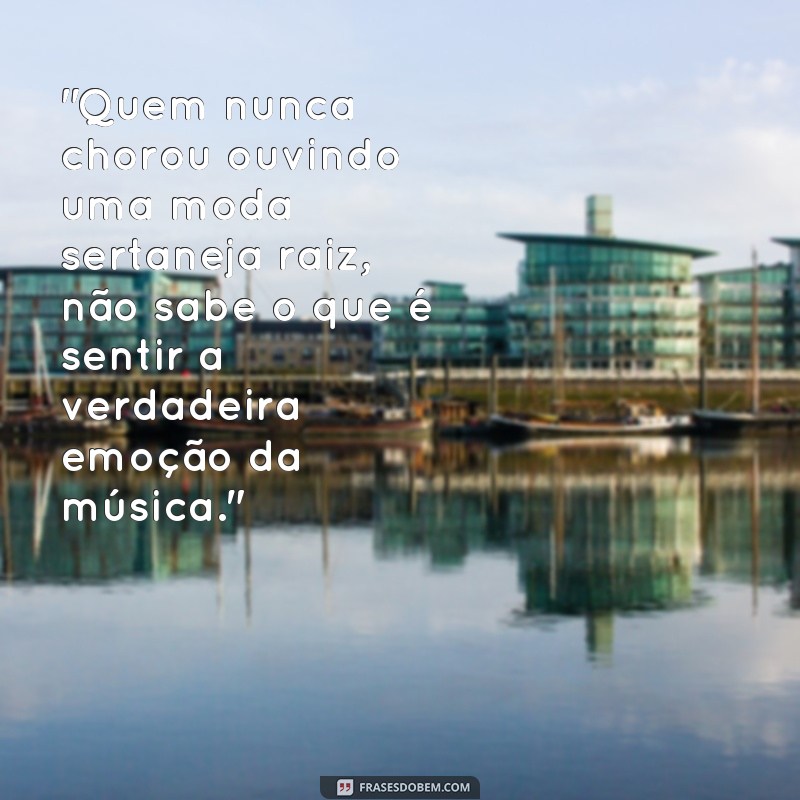 frases sertanejo raiz as melhores 