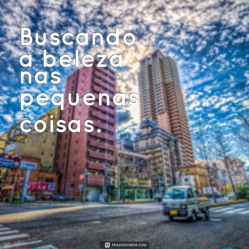 As Melhores Frases para Acompanhar Suas Fotos no Instagram 