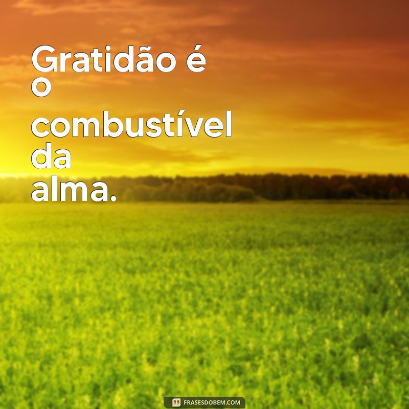 30 Frases Inspiradoras de Gratidão para Transformar Seu Dia 