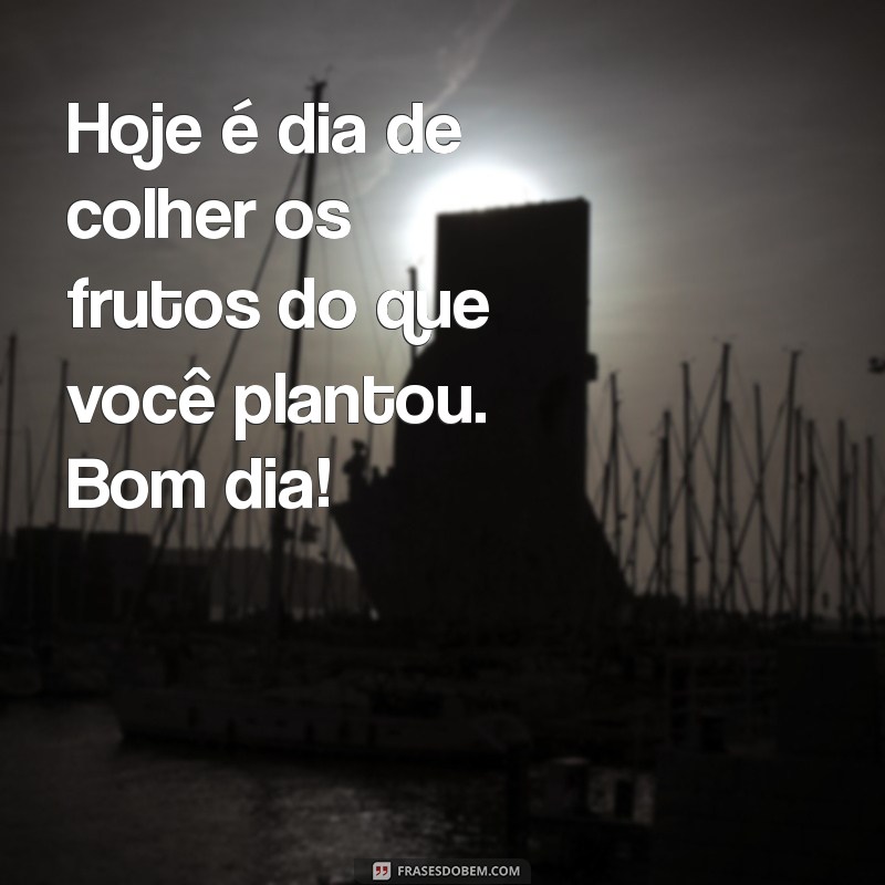 Frases de Bom Dia para WhatsApp: Inspire Seus Amigos com Mensagens Positivas 