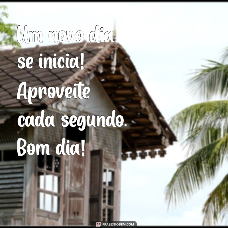 Frases de Bom Dia para WhatsApp: Inspire Seus Amigos com Mensagens Positivas 