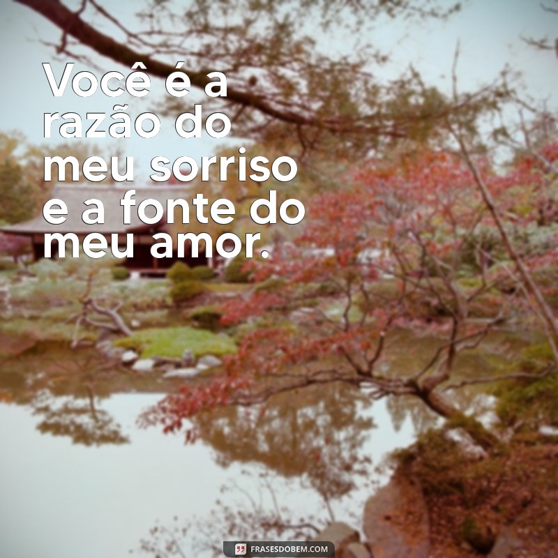 Frases Românticas para Encantar Seu Esposo: Declare Seu Amor com Palavras 