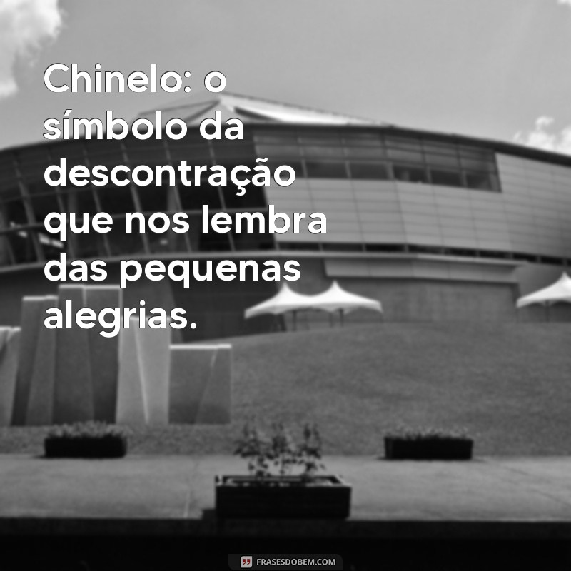 As Melhores Frases Engraçadas sobre Chinelo para Compartilhar 