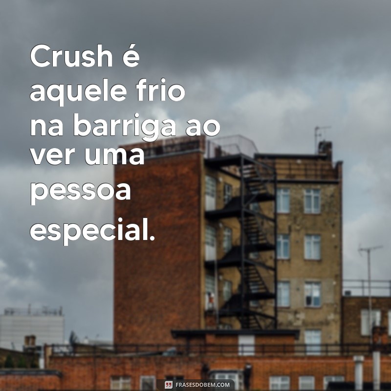 oque é crush Crush é aquele frio na barriga ao ver uma pessoa especial.