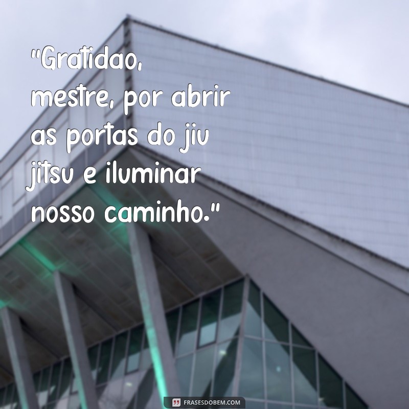 frases de agradecimento ao mestre de jiu jitsu 