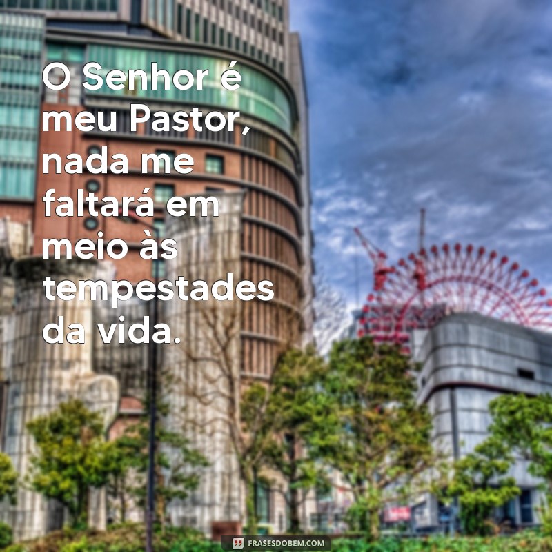 frases o senhor é meu pastor nada me faltará O Senhor é meu Pastor, nada me faltará em meio às tempestades da vida.