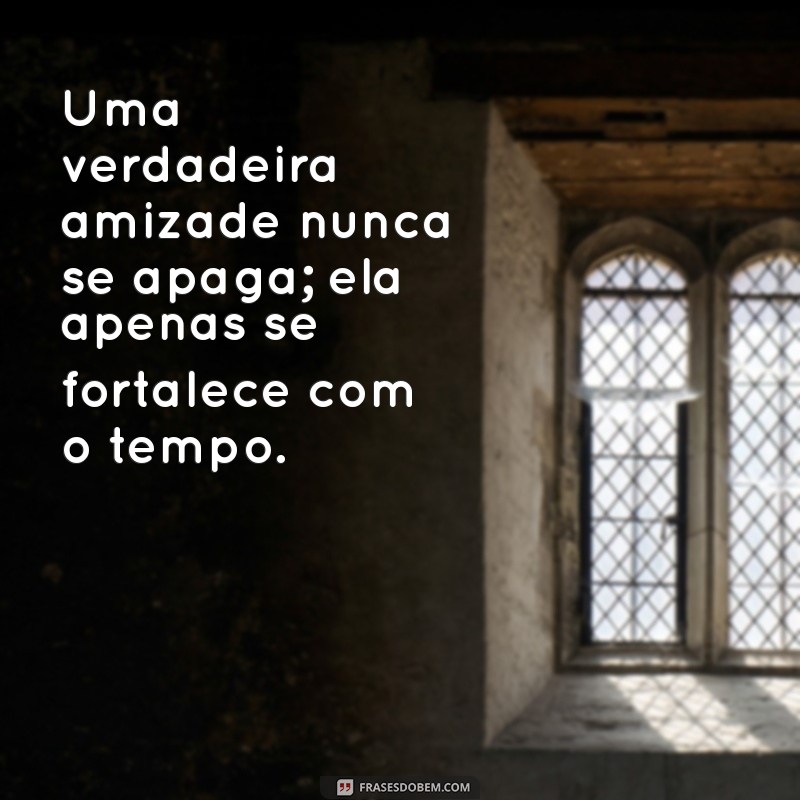 Frases Inspiradoras sobre Amizade: Celebre a Importância dos Amigos 