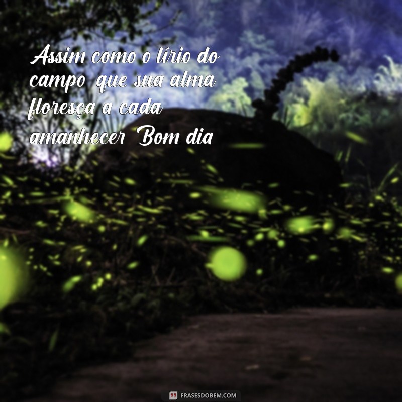 Bom Dia: Inspire-se com a Beleza do Lírio do Campo 