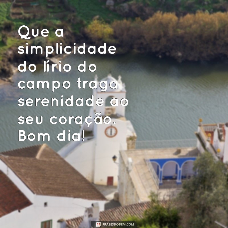 Bom Dia: Inspire-se com a Beleza do Lírio do Campo 