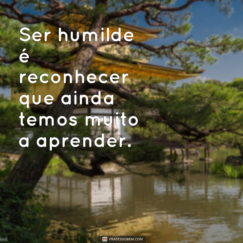 frases de ser humilde Ser humilde é reconhecer que ainda temos muito a aprender.