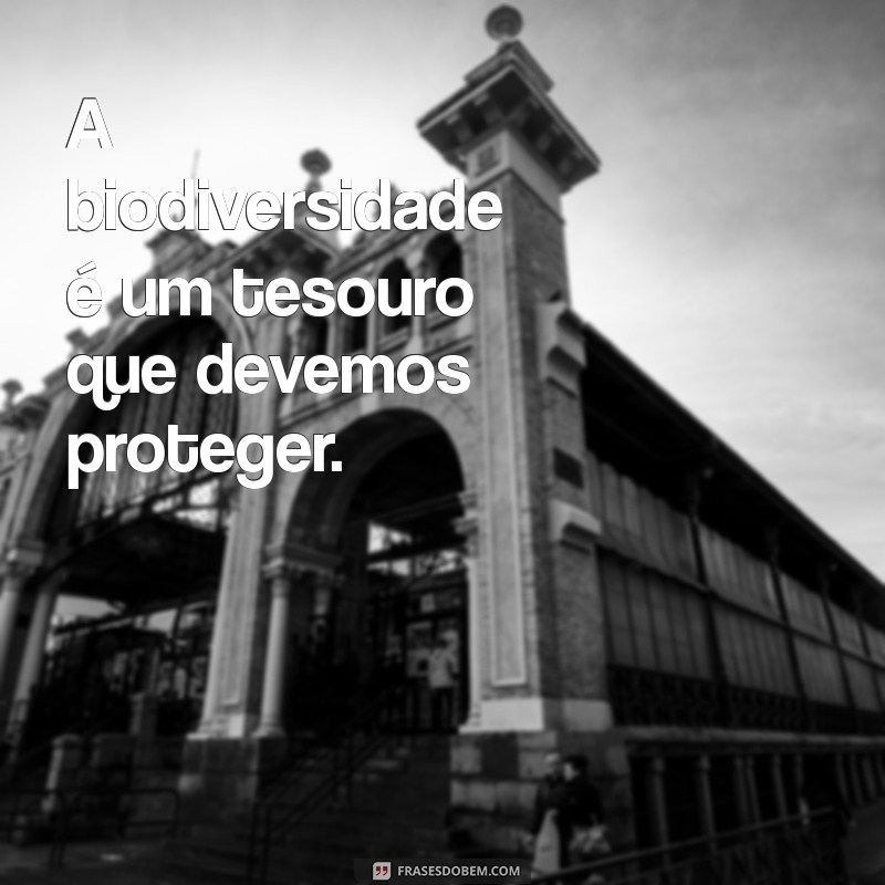 Frases Inspiradoras sobre Meio Ambiente e Sustentabilidade para Transformar sua Consciência Ecológica 