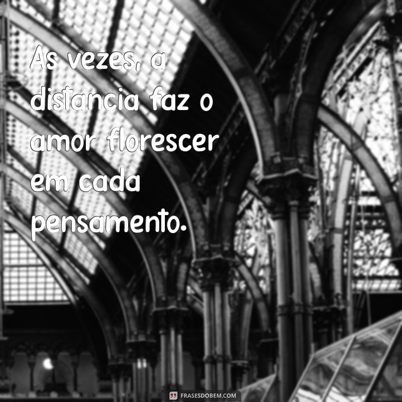 frases distância amor Às vezes, a distância faz o amor florescer em cada pensamento.