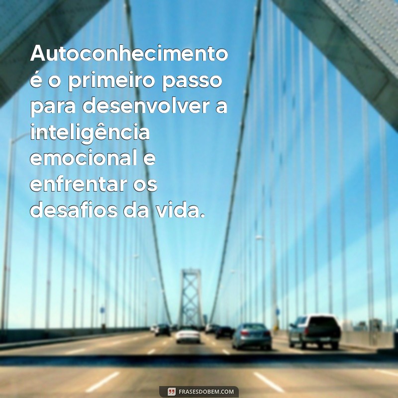 Desenvolva Sua Inteligência Emocional: Mensagens e Dicas para o Sucesso Pessoal 