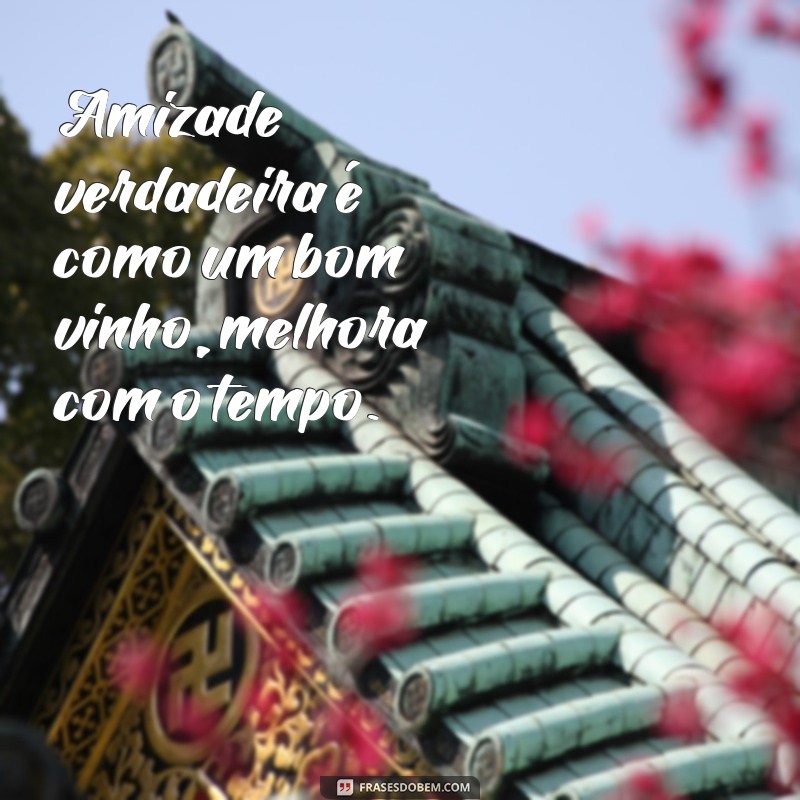 Frases Inspiradoras para Celebrar Encontros entre Amigos 