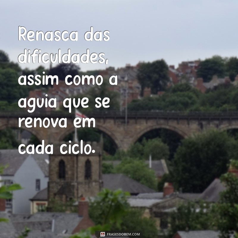 Frases Motivacionais Inspiradoras de Águia para Elevar Sua Determinação 