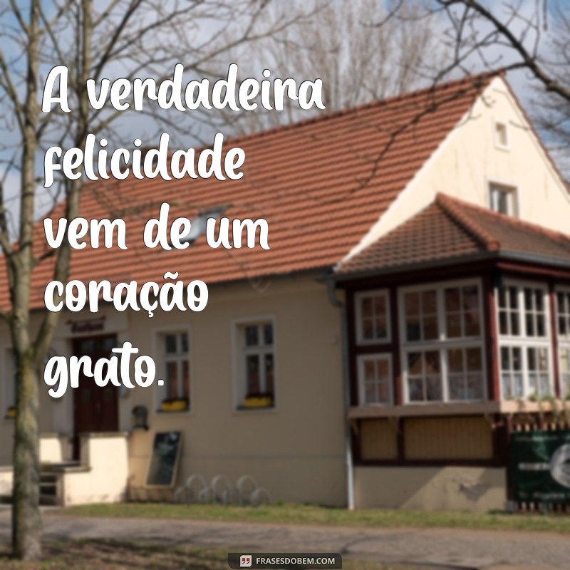 Transforme Sua Vida: Imagens de Gratidão para Inspirar e Motivar 