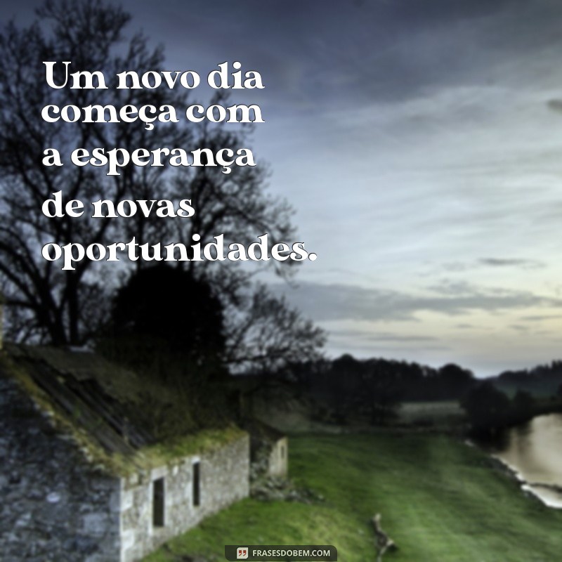 Frases Inspiradoras para Celebrar o Amanhecer do Sol 