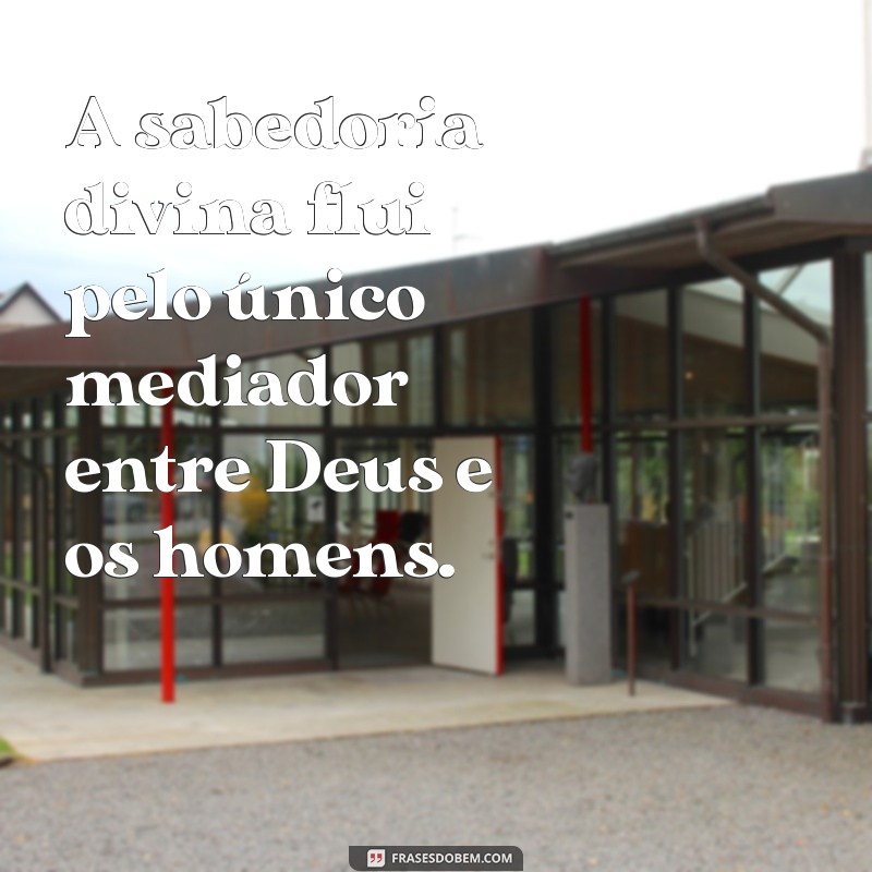 Descubra o Verdadeiro Mediador entre Deus e os Homens: A Importância da Intercessão 