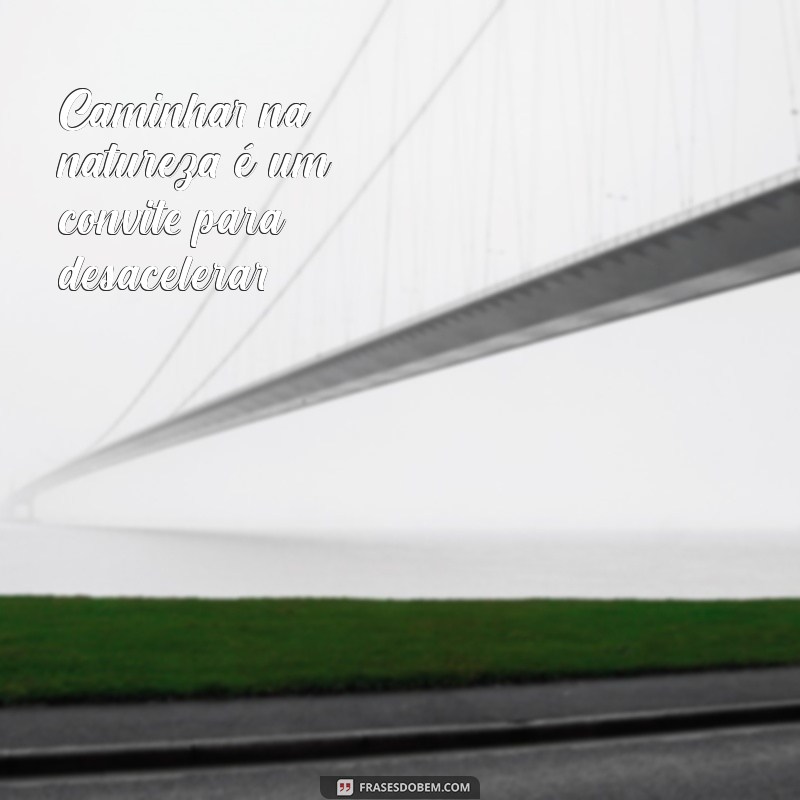 Frases Inspiradoras Sobre as Coisas Simples da Vida 