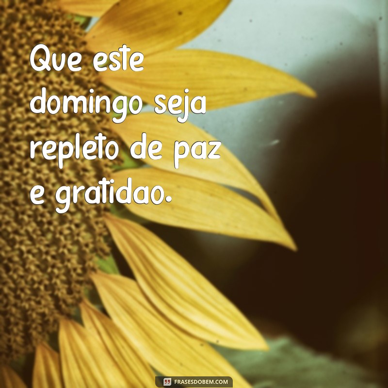 frases de um domingo abençoado Que este domingo seja repleto de paz e gratidão.