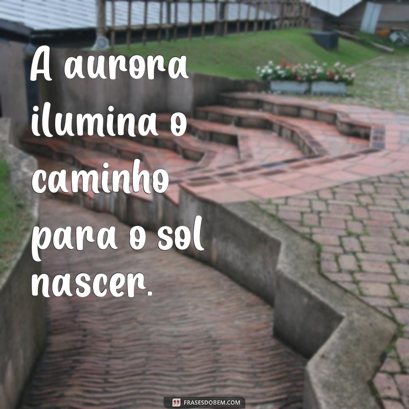 Descubra a inspiração nas frases que brilham como o sol da aurora 