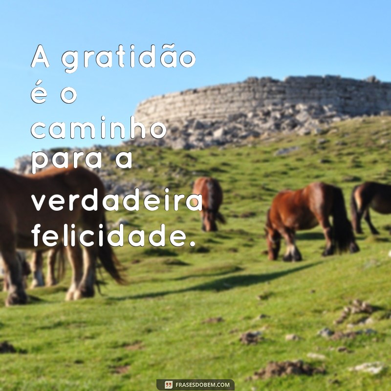 As Melhores Frases de Felicidade para Status: Inspire-se e Compartilhe 