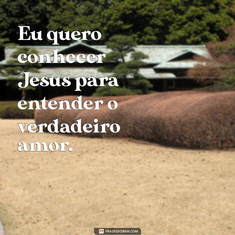 eu quero conhecer jesus Eu quero conhecer Jesus para entender o verdadeiro amor.