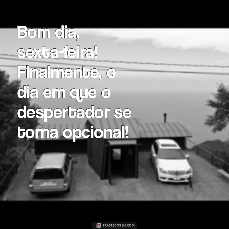 bom dia sexta engraçada Bom dia, sexta-feira! Finalmente, o dia em que o despertador se torna opcional!