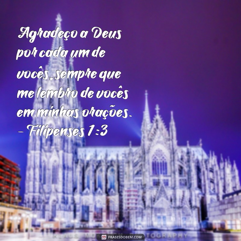 Descubra as melhores frases de versículos sobre gratidão e aprenda a ser grato todos os dias 