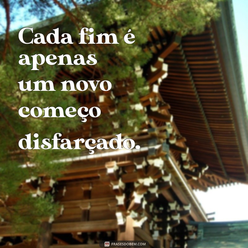 Frases Inspiradoras: Encontre a Motivação Que Você Precisa 