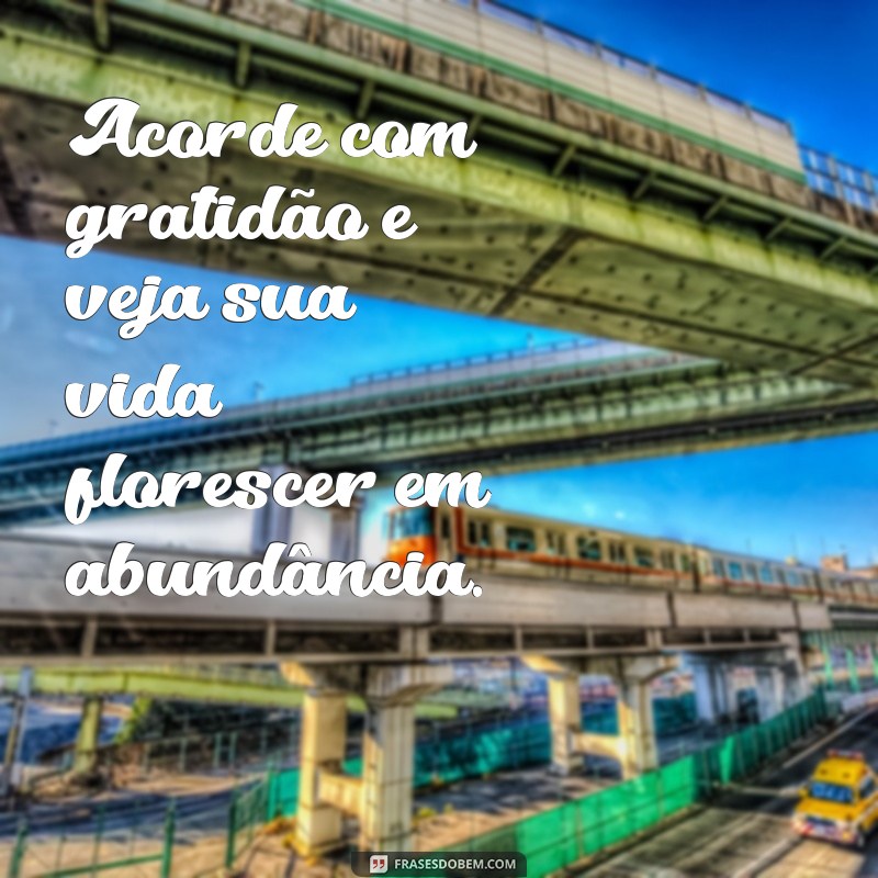 Descubra as Melhores Frases de Bom Dia para Inspirar Seu Dia com Flores 