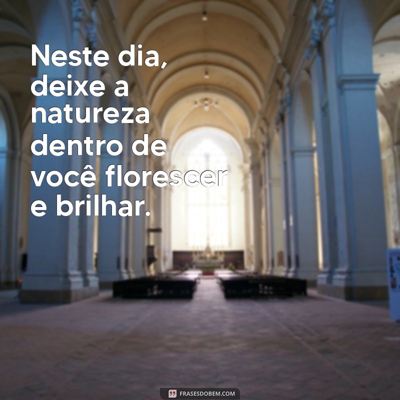 Descubra as Melhores Frases de Bom Dia para Inspirar Seu Dia com Flores 