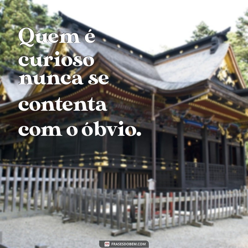 Frases Curiosas: Inspirações e Reflexões para Mentes Inquisitivas 