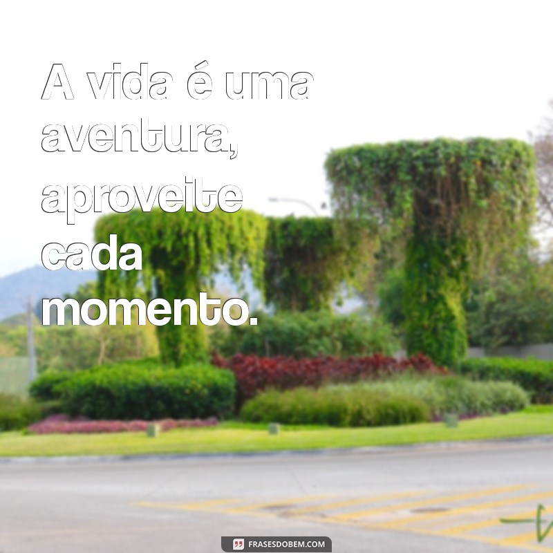 As Melhores Frases para Transformar Sua Biografia no Facebook 