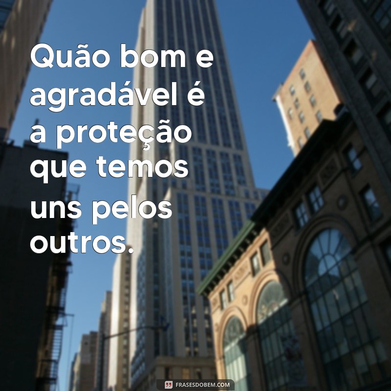 Os Benefícios de Ter Irmãos: Como a Relação Fraternal Enriquecem Nossas Vidas 