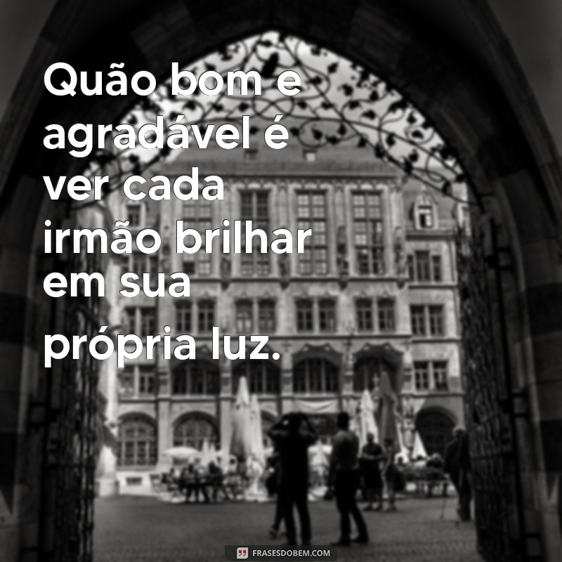 Os Benefícios de Ter Irmãos: Como a Relação Fraternal Enriquecem Nossas Vidas 