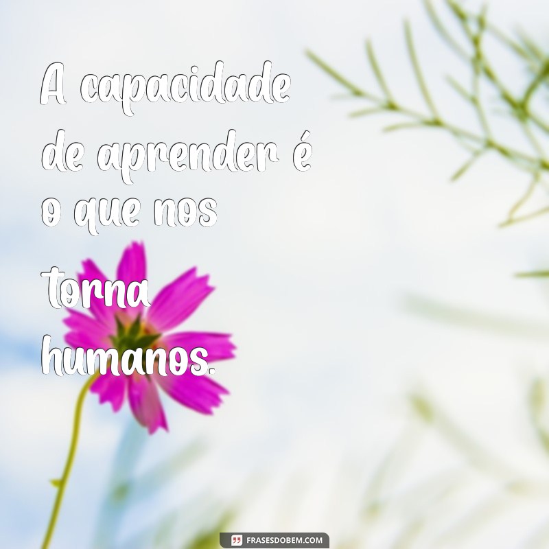 Frases Inspiradoras para Potencializar Seu Aprendizado Profissional 