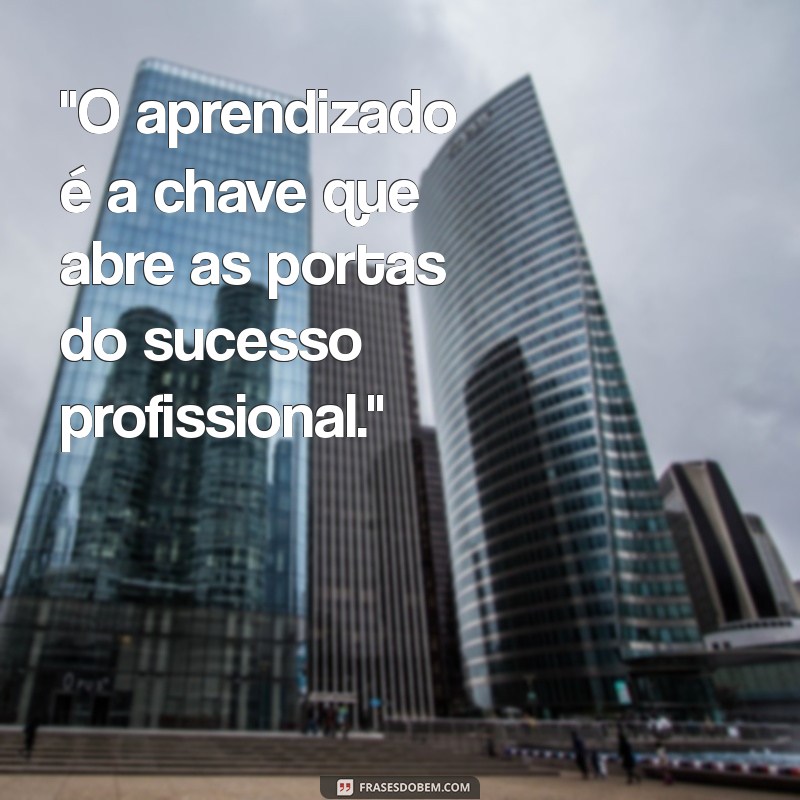 frases aprendizado profissional 