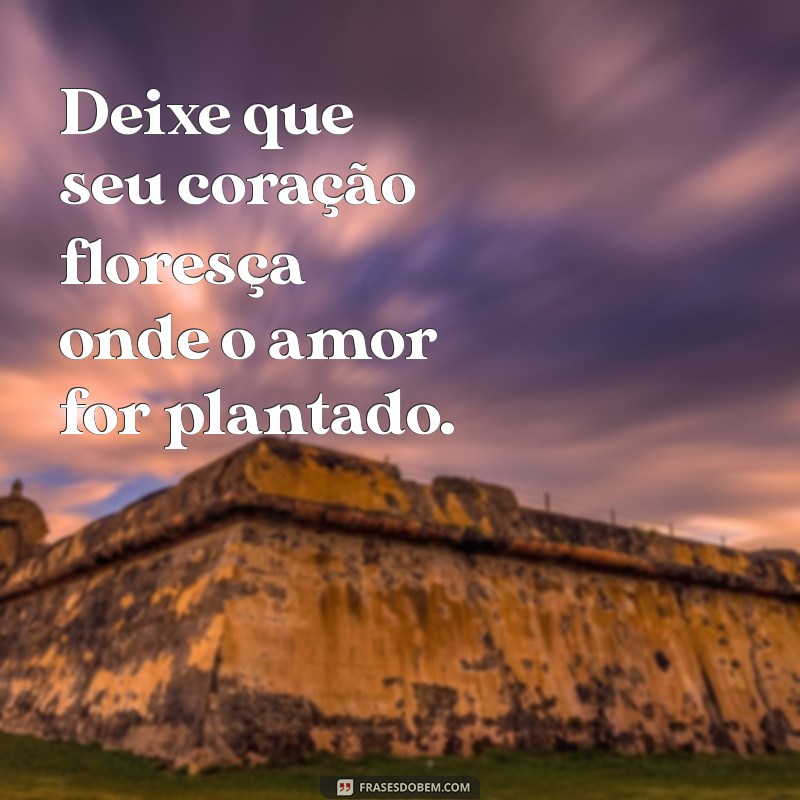 Floresça Onde Deus Te Plantar: Inspirações e Frases Motivacionais 