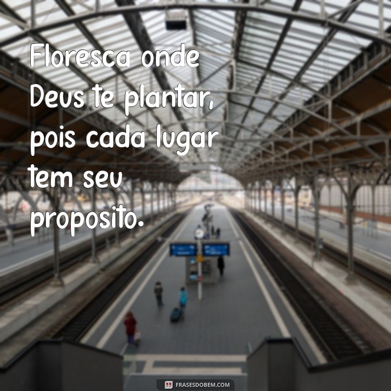 frases floresça onde deus te plantar Floresça onde Deus te plantar, pois cada lugar tem seu propósito.