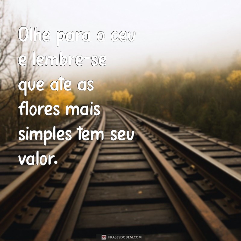 Floresça Onde Deus Te Plantar: Inspirações e Frases Motivacionais 